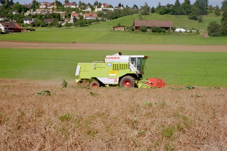 Claas Drescher 22